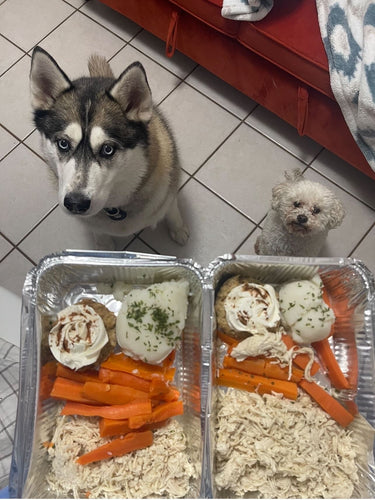 Thanksgiving Dinner Plates