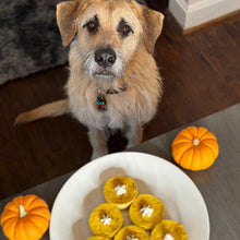 Load image into Gallery viewer, Thanksgiving Pumpkin Pie Cheesecake Bites (6 pack) 🥧