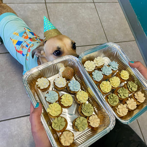 Mini Pupcakes