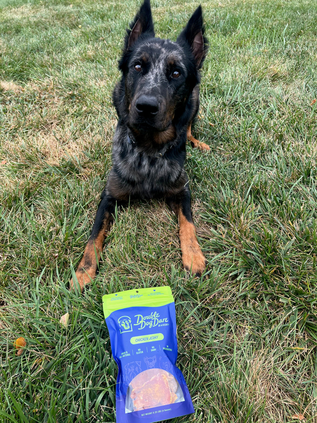 Double Dog Bakery's  All-Natural Chicken Jerky 🐾